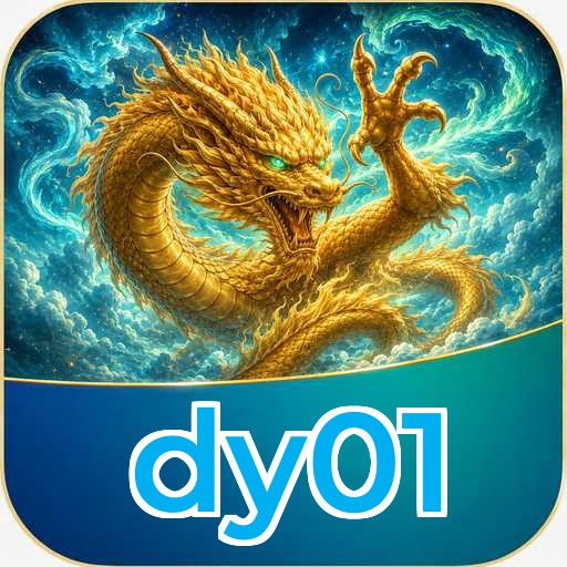 dy01