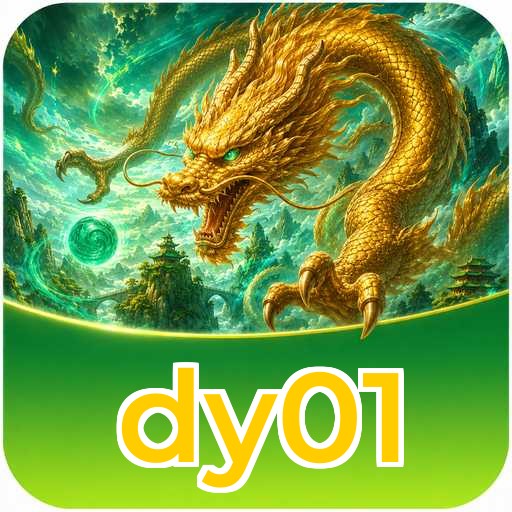 dy01